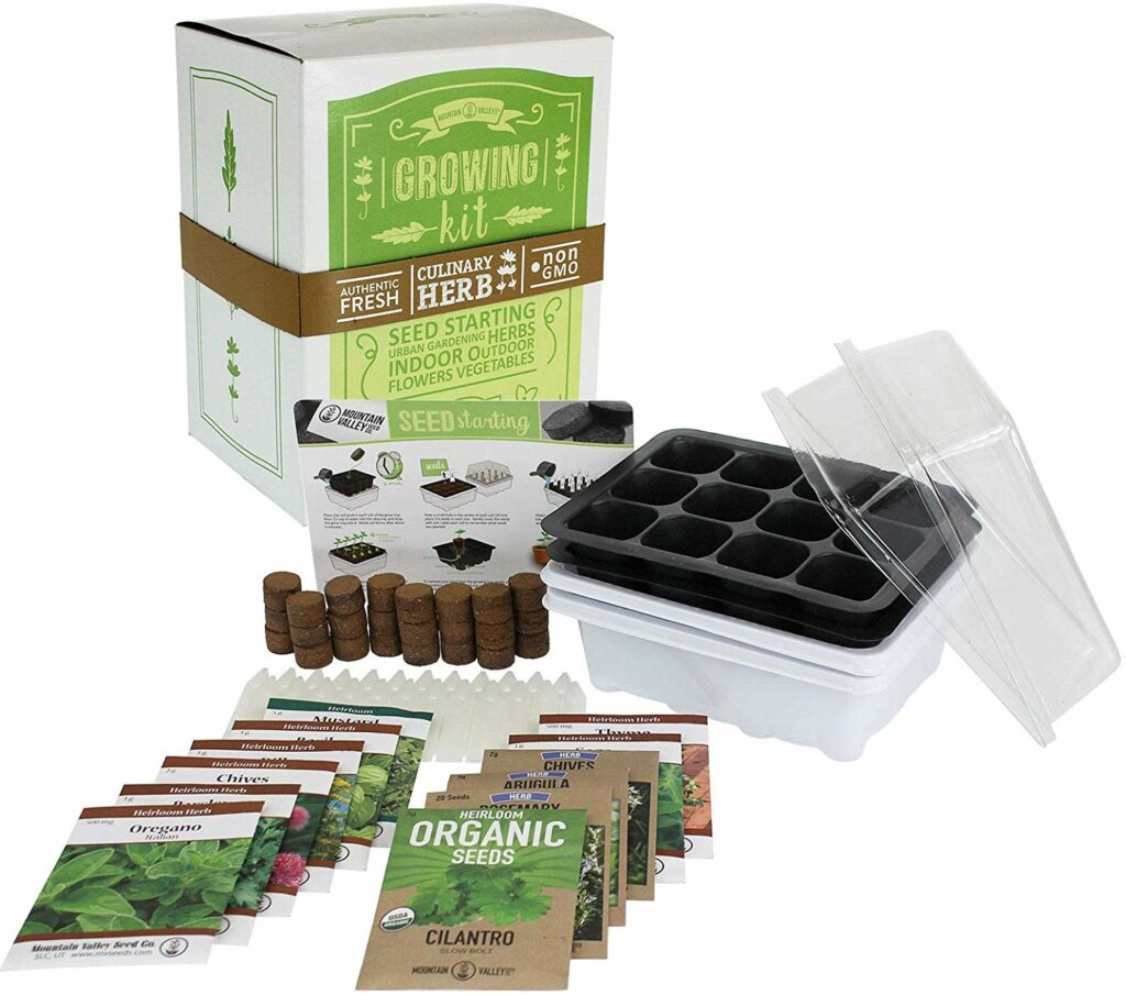 Culinary starter kit